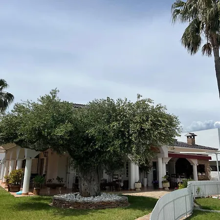 Luxury Tropical In Grao Benicassim Villa *