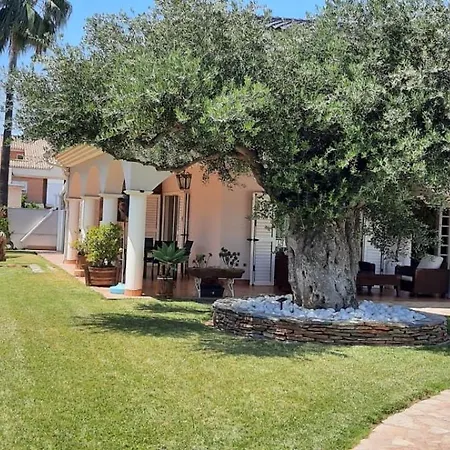 Villa Luxury Tropical In Grao Benicassim