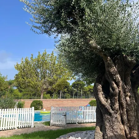 Luxury Tropical In Grao Benicassim Grao de Castellon