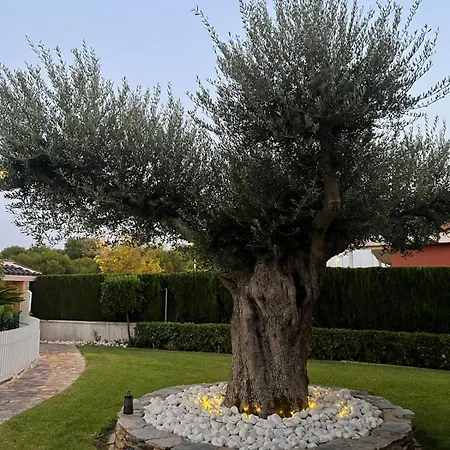 Luxury Tropical In Grao Benicassim Villa *